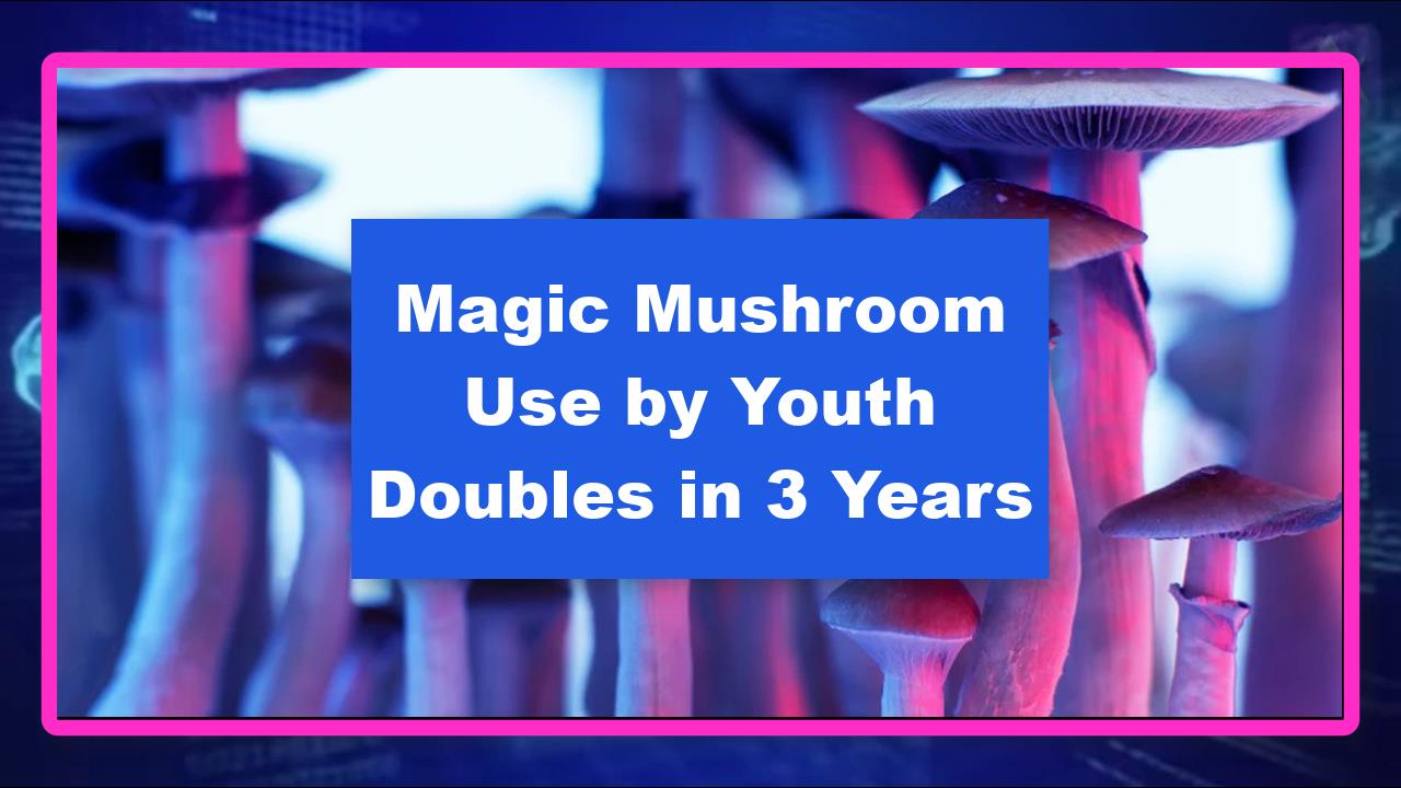Magic Mushroom Use by Youth Doubles in 3 Years