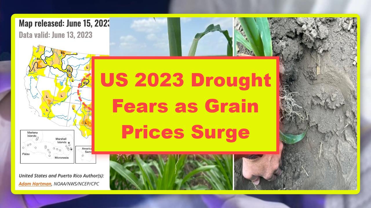 US 2023 Drought Fears as Grain Prices Surge