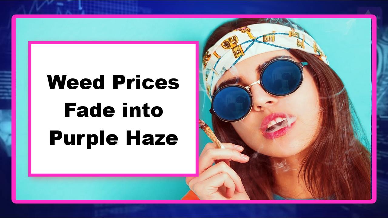 Weed Prices Fade into Purple Haze