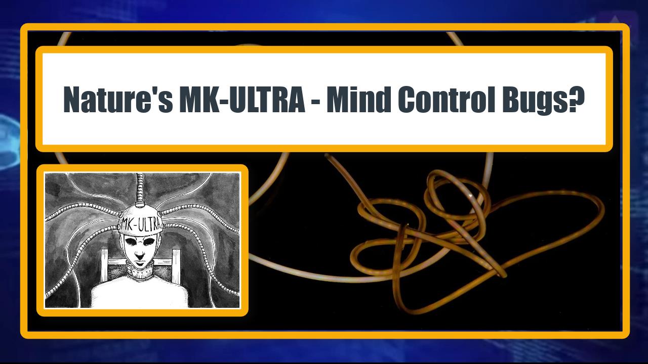 Nature's MKULTRA - Mind Control Bugs?