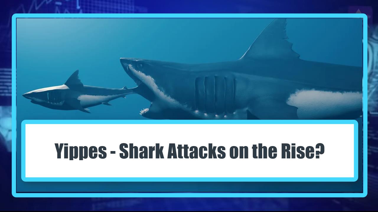 Yippes – Shark Attacks on the Rise?