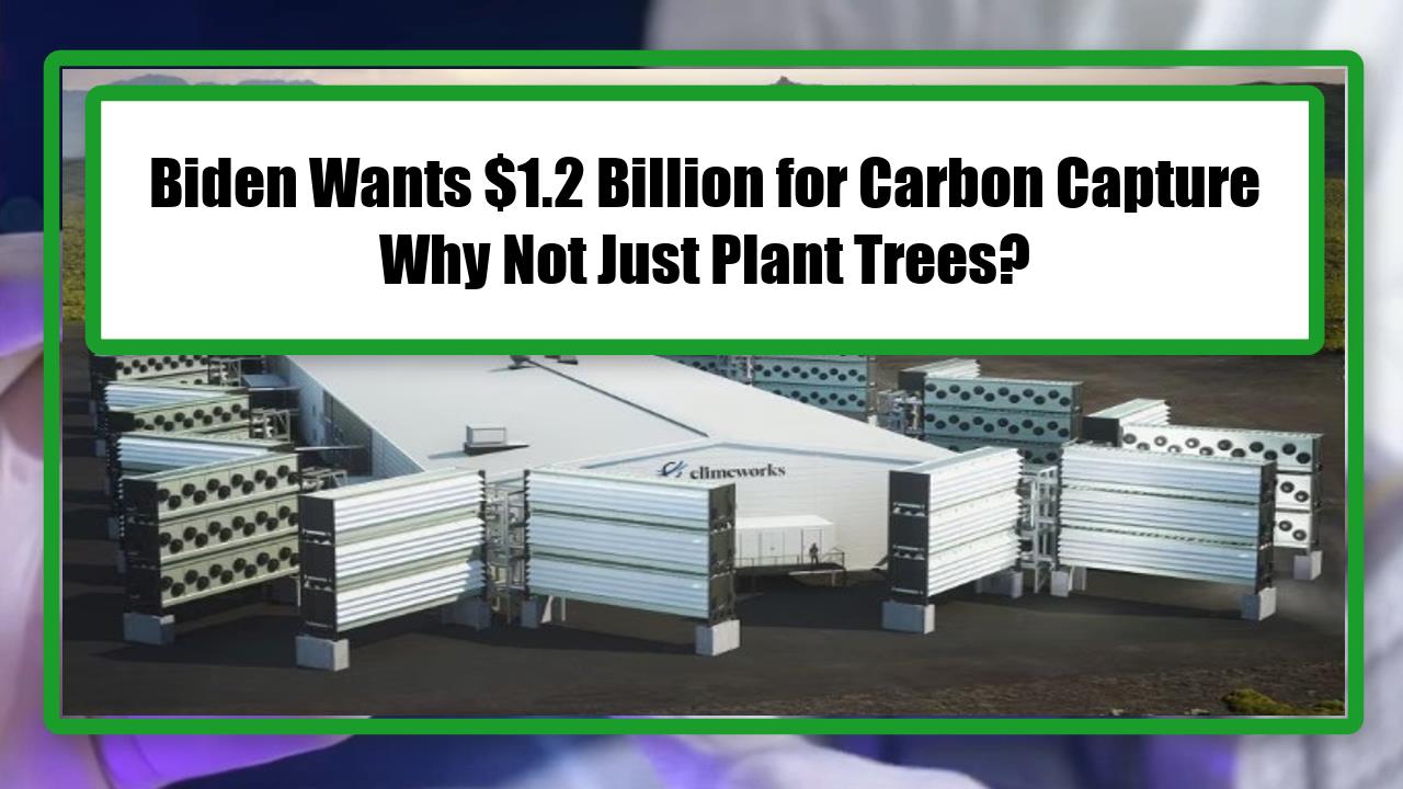 Biden Wants $1.2 Billion for Carbon Capture - Why Not Just Plant Trees?