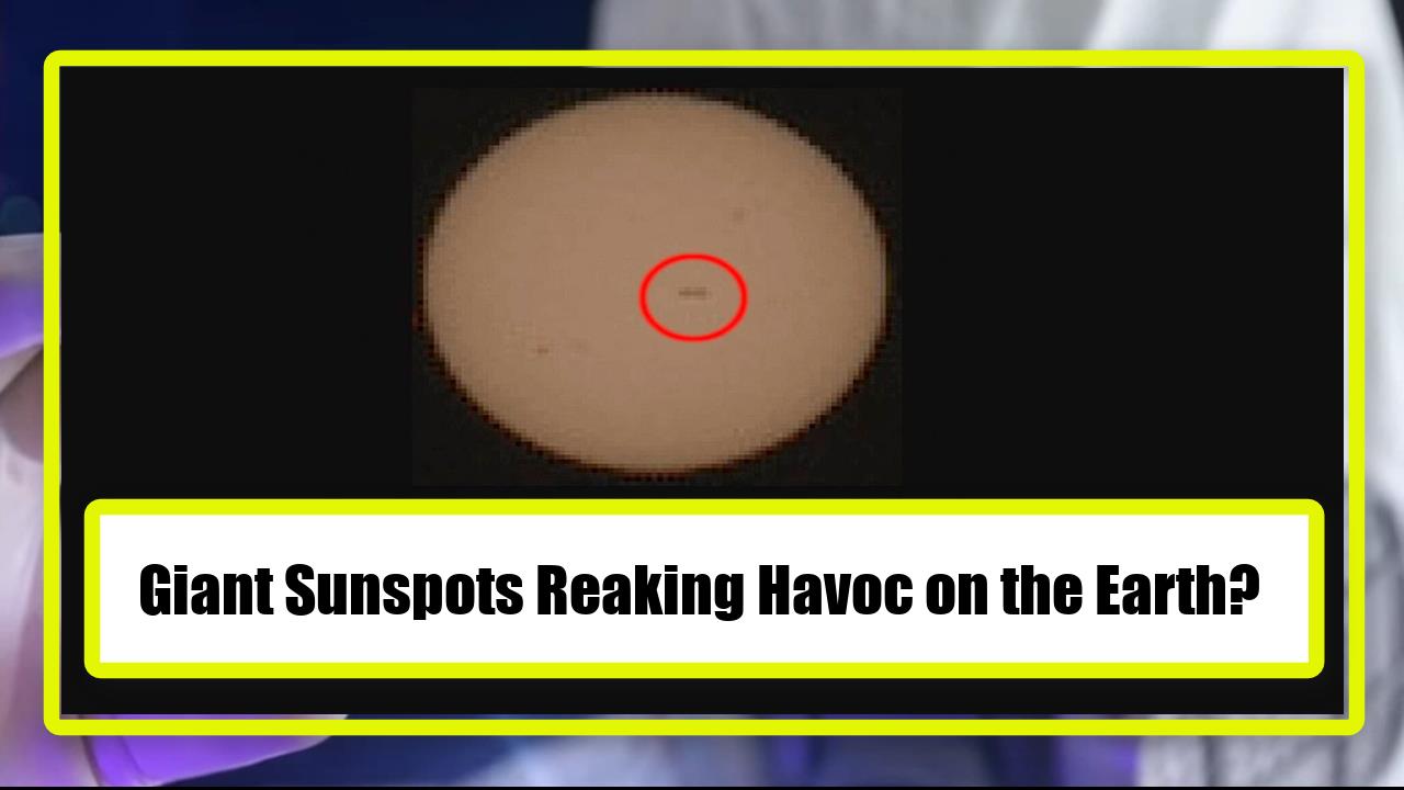 Giant Sunspots Reaking Havoc on the Earth?