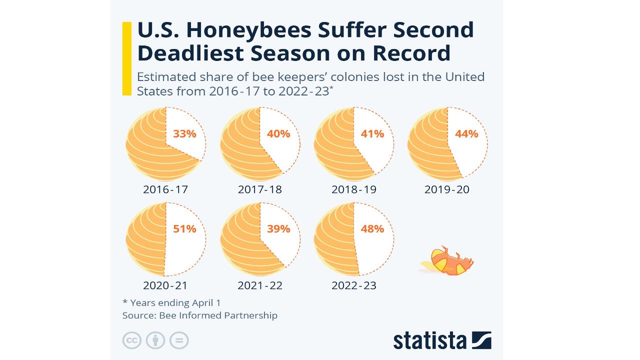 why-are-the-bees-dying-chartgpt-today