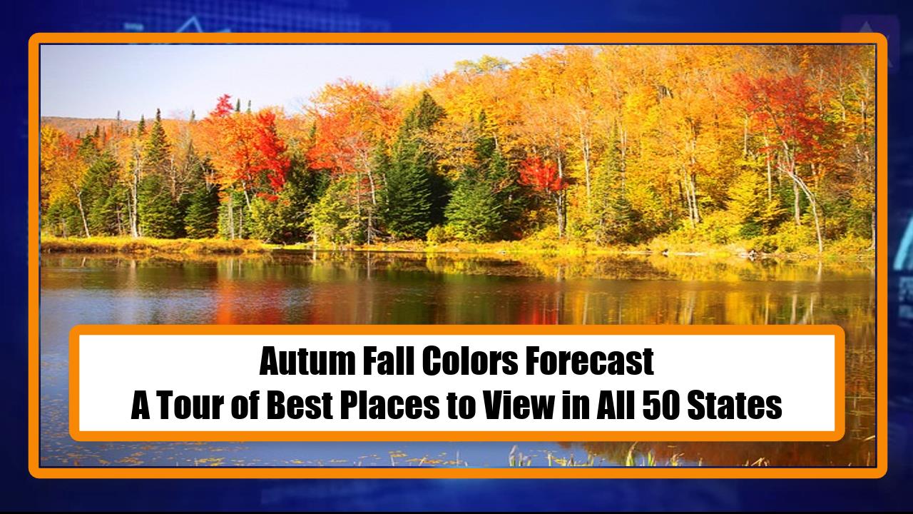 Autum Fall Colors Forecast - A Tour of Best Places to View in All 50 States