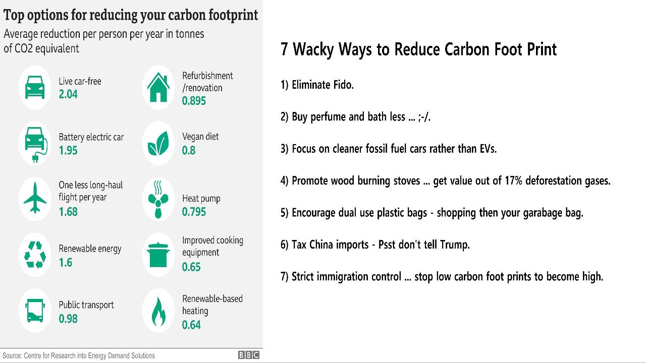 7 Wacky Ways to Reduce Carbon Foot Print