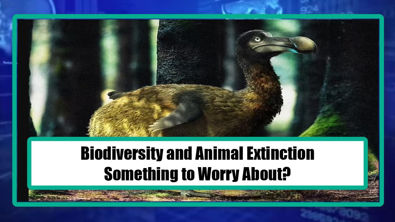 Biodiversity and Animal Extinction - Something to Worry About?