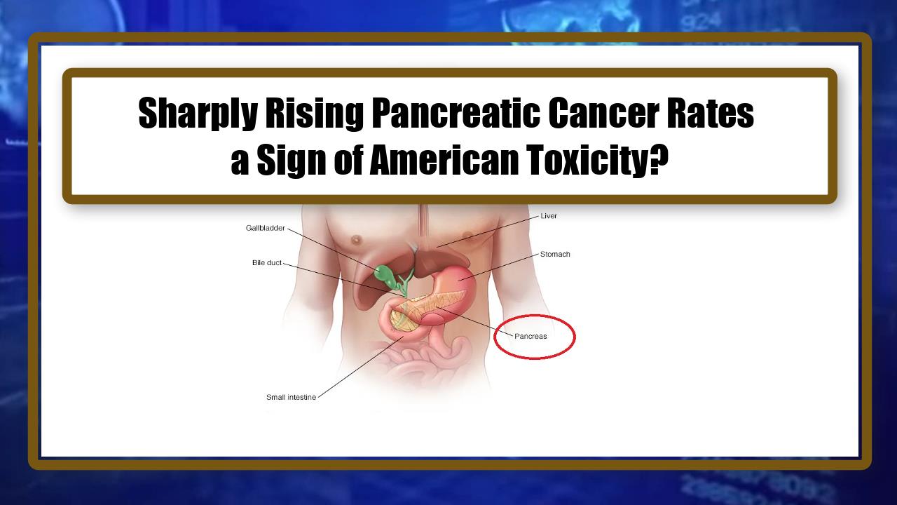 Sharply Rising Pancreatic Cancer Rates a Sign of American Toxicity?