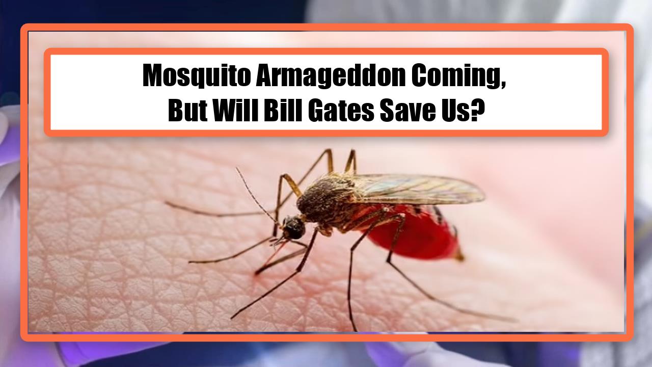 Mosquito Armageddon Coming, But Will Bill Gates Save Us?